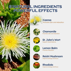 ORGANIHERBENCE label detail highlights a six-herb blend.