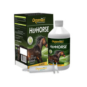 Organnact Hephorse bottle showing artichoke extract for liver support.
