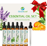 ORIENTLEAF Lavender oil bottle 6x10ml for calming diffuser sessions.