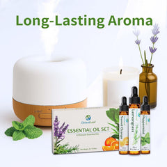ORIENTLEAF Lemongrass oil bottle 6x10ml for uplifting ambiance.
