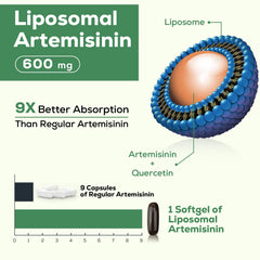 Osasuna quercetin phytosome 200mg capsule highlights enhanced bioavailability