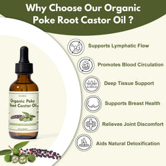 OUREA dropper applying poke root oil for targeted, non-greasy skin care.