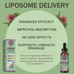 OUROZO Lymphatic Drainage Drops label shows ingredient transparency.