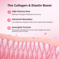 OxyEnergy label detail with hydrolyzed collagen and elastin blend