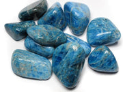 Pachamama Essentials Blue Apatite five-stone display boosts inspiration and focus.