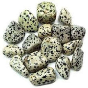 Pachamama Essentials Dalmatian Jasper tumbled stone in hand for grounding and emotional balance.
