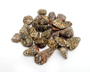 Pachamama Essentials Leopardskin Jasper five-pack tumbled stones for grounding and focus