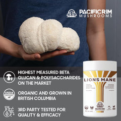 Organic, hand-picked Lions Mane mushrooms from Pacific Rim Mushrooms