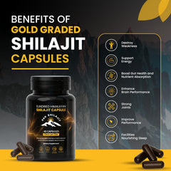 PakShilajit Gold-Grade Resin in Himalayan setting signals premium origin for vitality.