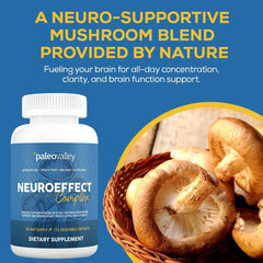 Paleovalley NeuroEffect with coffee fruit extract for steady focus.