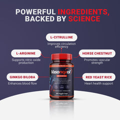 Ginkgo biloba component in Panoxol highlights herbal circulation support.