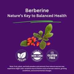 Paradise Herbs Berberine Extract bottle being poured to reveal capsules for convenience.
