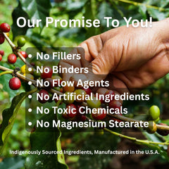 Paradise Herbs Earths Blend B-Complex superfoods mix suggests antioxidant power from greens and berries