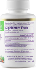 Paradise Herbs Elderberry with Zinc capsules showing 60 veggie capsules for daily immune support