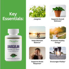 Close-up of Jiaogulan capsules highlighting non-GMO ingredients