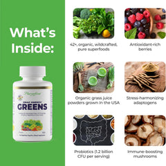 Paradise Herbs ORAC Energy capsules tablet in hand for easy daily boost.