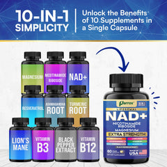 Parrox NAD+ liposomal NAD illustration signaling enhanced cellular uptake