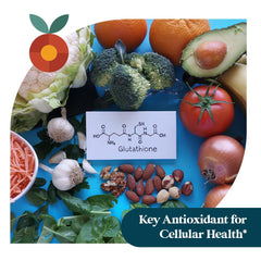Pattern Wellness immune health packaging image featuring clear bottle and label.
