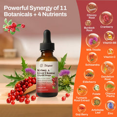 Pavintrix Kidney Cleanse Drops with milk thistle illustrates liver support potential