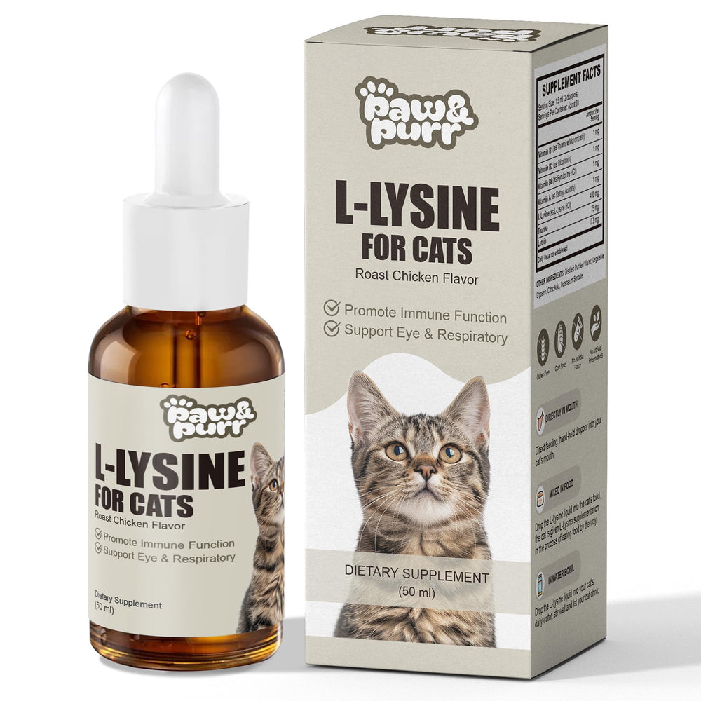 Paw & Purr Lysine for Cats bottle showing 50 ml size for immune support.