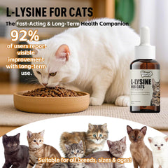 Paw & Purr Lysine liquid being mixed into a cat’s water for easy feeding.
