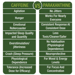 Peak Performance Paraxanthine label close-up shows purity and testing