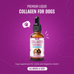 Peak Pets Collagen for Dogs joints and mobility benefits for all breeds.