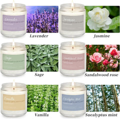Peln sage jar candle offers herbal, clean accents for focus and calm.