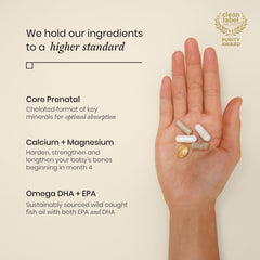 Perelel omega DHA EPA softgel for omega-3 support during pregnancy