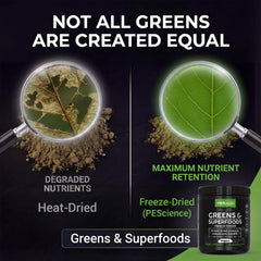PEScience Greens Powder Lime bottle offers a refreshing flavor for smoothies.