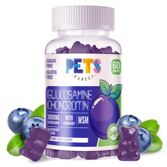 Pets Purest glucosamine chondroitin gummies jar front view emphasizing joint support