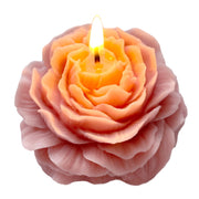 Peytanger purple-pink peony candle with berry fragrance for cozy evenings