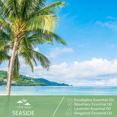 PHATOIL Eucalyptus oil diffuses in a diffuser, releasing a lasting fragrance.