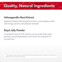 EstroBalance wild raw kelp segment, providing natural nutrient source