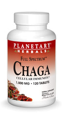 Planetary Herbals Chaga Full Spectrum bottle with capsules for daily immune support.