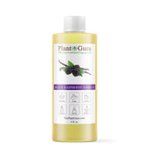Plant Guru Black Raspberry Vanilla fragrance oil bottle pour for DIY crafts
