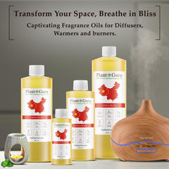 Plant Guru China Musk for candle making with vibrant citrus-spice notes