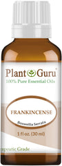 Plant Guru Frankincense essential oil bottle pour for diffusion and ambiance