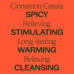 Plant Therapy cinnamon cassia oil in diffuser necklace creating warm seasonal scent.
