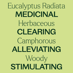 Plant Therapy Eucalyptus Radiata bottle and label indicating batch-tested quality