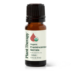 Plant Therapy Frankincense Serrata oil bottle prepared for aromatic diffusion and calm focus.
