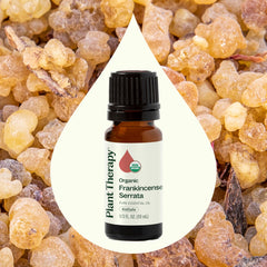 Plant Therapy Frankincense Serrata oil dropper facilitates precise topical dilution for skincare.