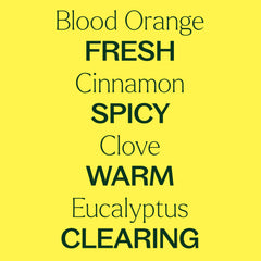 Close-up of Germ Fighter ingredients: lemon, clove, eucalyptus, cinnamon, rosemary.