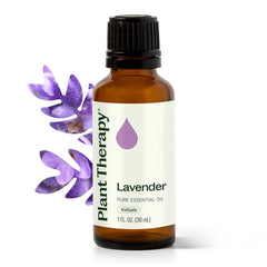 Plant Therapy Lavender Oil 30ml bottle for calming aromatherapy and skincare.