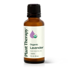 Plant Therapy lavender oil bottle with clear label signaling organic purity and aroma.