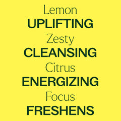 Plant Therapy Lemon Essential Oil dropper ready for precise topical use.