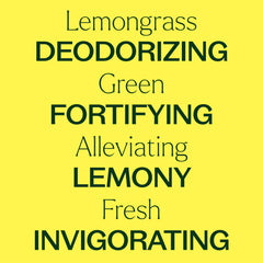 Plant Therapy Lemongrass oil label detail emphasizes purity and batch-tested reassurance.