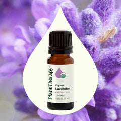 Plant Therapy Organic Lavender Essential Oil being diffused for a restful ambiance.