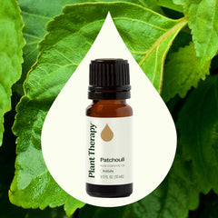 Pouring Plant Therapy patchouli oil from a bottle to blend massages.