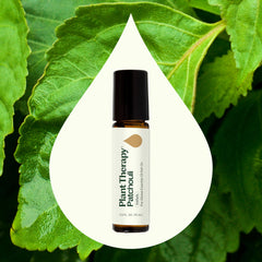 Plant Therapy Patchouli roll-on showcases a woody aroma for grounding moments.